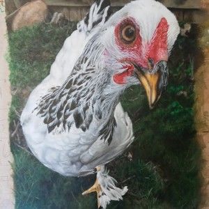 Meet your Posher, Isabella